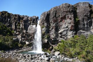 Kleiner Wasserfall in Neuseeland