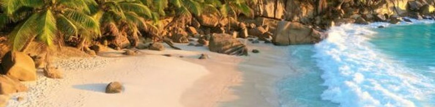 Tropischer Sandstrand mit Palmen und türkisblauem Meer bei Sonnenschein.