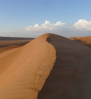 Oman Urlaub - Sanddüne in den Wahiba Sands