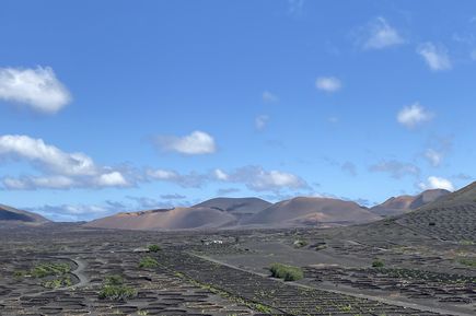 Lapilli auf Lanzarote zum Weinanbau