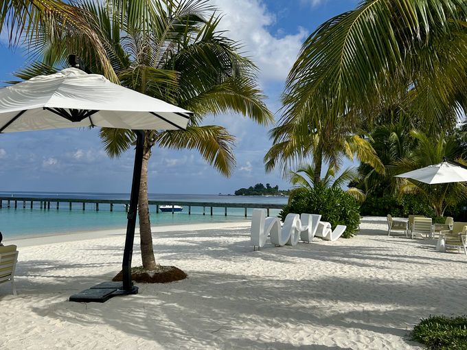 Strand mit Palmen und Sonnenschirmen