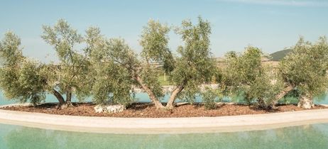 Terme di Vulci Glamping & Spa