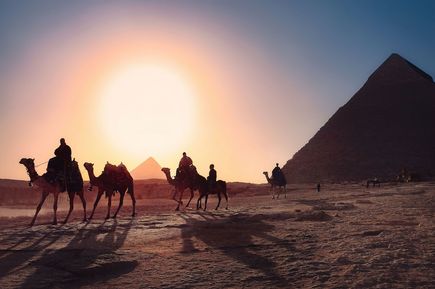 Ägypten Kamele reiten in Wüste vor Pyramide