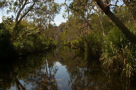 Litchfield National Park