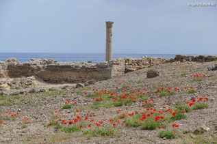 Karge Küste mit Fels auf der Insel Sardinien