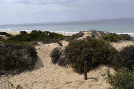 Weg zum Strand zwischen Dünen bei Sonnenuntergang