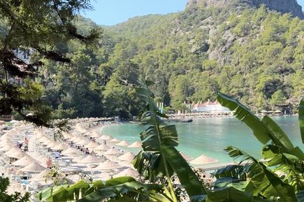 Blick auf einen Strand mit Sonnenschirmen, dahinter bewaldete Hügel und blauer Himmel, im Vordergrund große grüne Blätter.