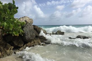 Strand der Karibik Insel Barbados