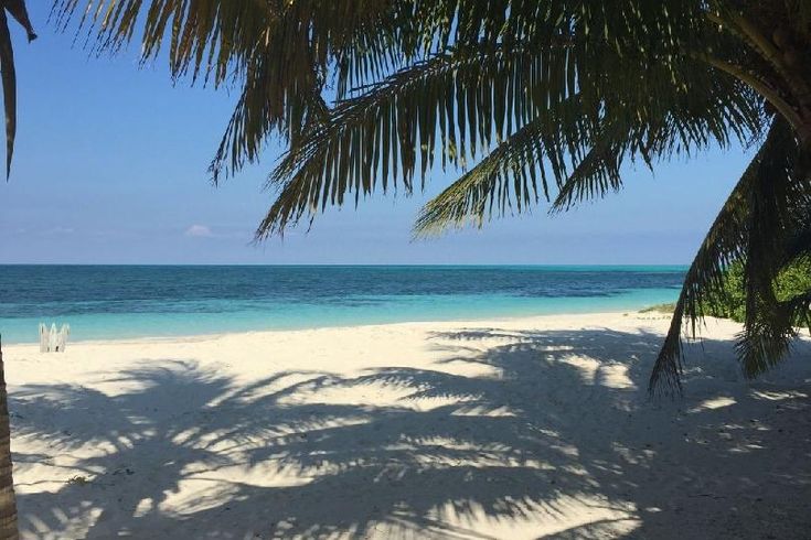 Strand mit Palme