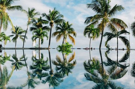 Palmen am Pool einer Seychellen Insel (Indischer Ozean in Afrika)