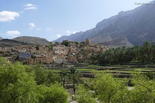Grüne Natur bei Studienreise im Oman