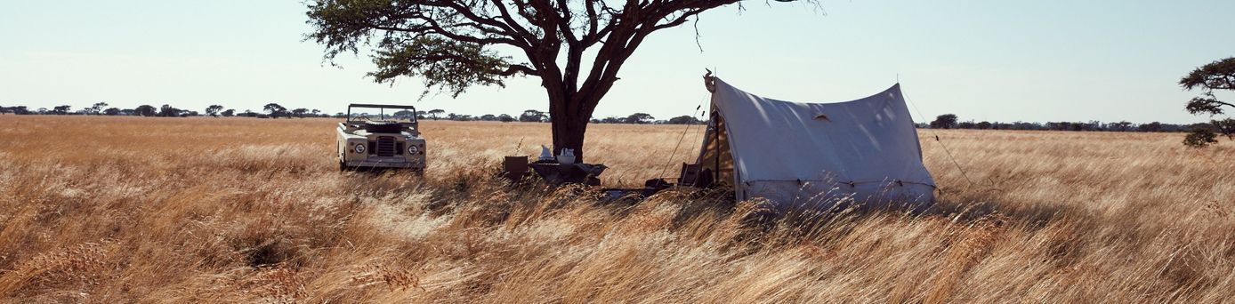 Safari-Camp in der afrikanischen Savanne mit einem weißen Zelt und Geländewagen unter einem schattenspendenden Baum im goldenen Grasland.