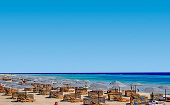 Gorgonia Beach Resort