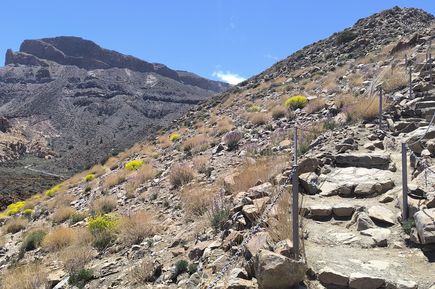 Schmaler Trampelpfad und Steintreppe zum Bergaufstieg