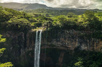 Grüne Natur und Wasserfall auf Felsklippe der Insel Mauritius (Indischer Ozean in Afrika)