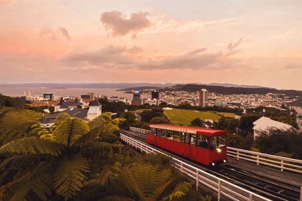 Blick auf Hauptstadt Wellington