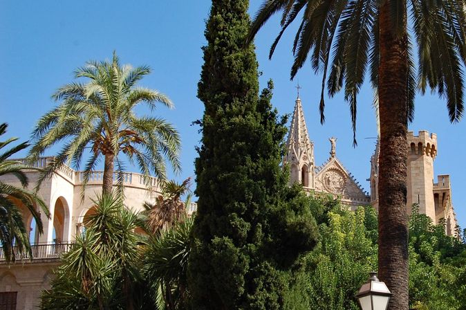 Bäume und Häuser in Inselhauptstadt Palma de Mallorca