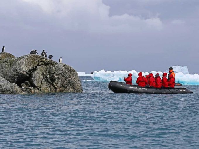 Monroe Island: Auf Zodiaks die Pinguine beobachten