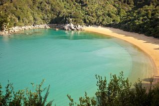 Bucht mit Strand im Abel-Tasman-Nationalpark