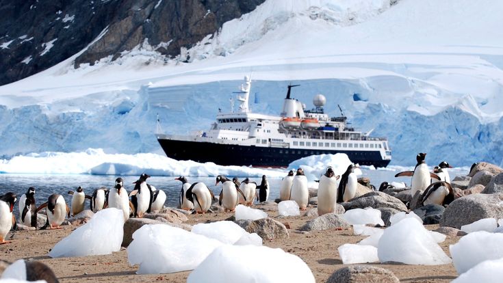 Pinguine auf einer Eisscholle vor einem Expeditionskreuzfahrtschiff in der Antarktis – eindrucksvolle Begegnung von Tierwelt und Naturabenteuer inmitten schneebedeckter Gletscherlandschaft.