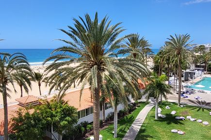 Blick von der Dachterrasse über Palmen zum Strand