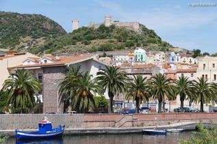 Palmen am Meer, dahinter Häuser und Berg auf Sardinien