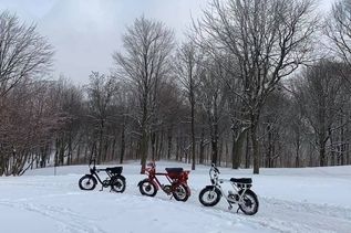 Mount Royal mit dem E-Bike