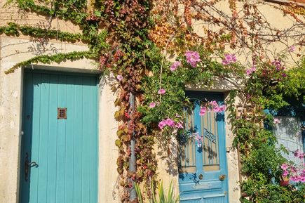 Kleines, mit Pflanzen bewachsenes Häuschen und türkisen Fensterläden