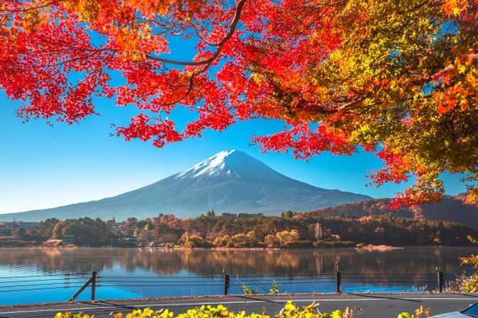 Blühende rote Blätter der Bäume am See in Japan