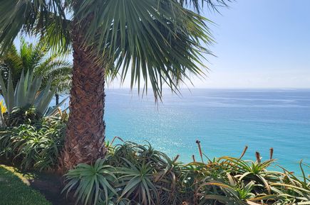 Blick zwischen Palmen und Pflanzen auf das Meer, Jandia Playa