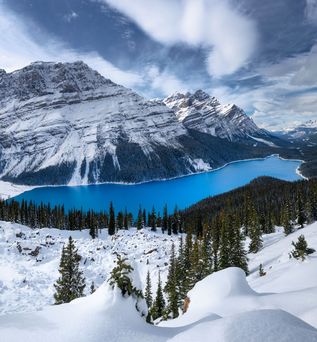 Tief verschneite Berglandschaft mit Nadelbäumen und weitem Blick auf weiße Gipfel und blauem Bergsee