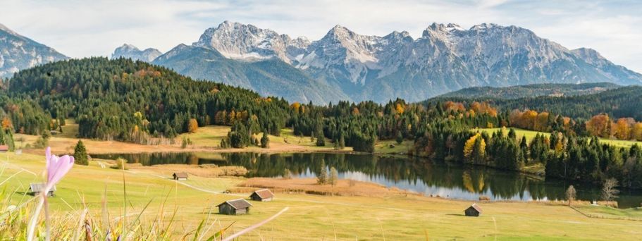 Alpenpanorama mit Wiese und See