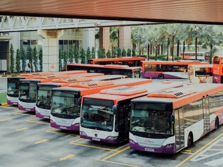 Reihe moderner Busse auf einem Parkplatz – organisiert, effizient und bereit für den nächsten Transfer.