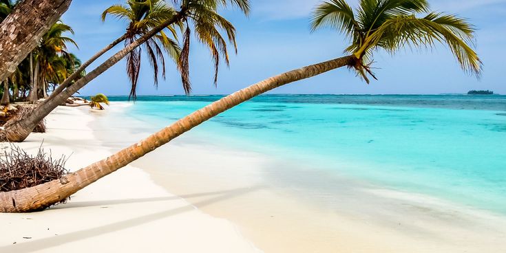 Weißer Sandstrand mit schräg wachsenden Palmen und türkisfarbenem Meer unter blauem Himmel