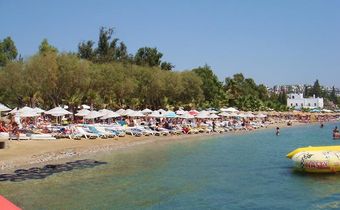 Okaliptus Otel