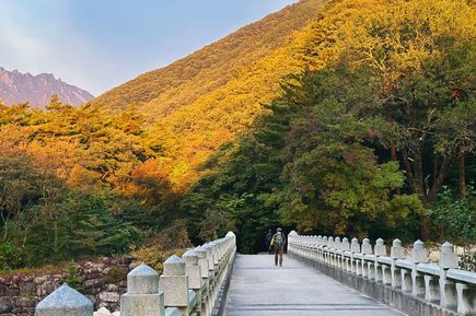 Brücke im Seoraksan Nationalpark
