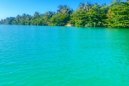 Türkises Wasser mit Blick auf ein dicht bewachsenes Ufer
