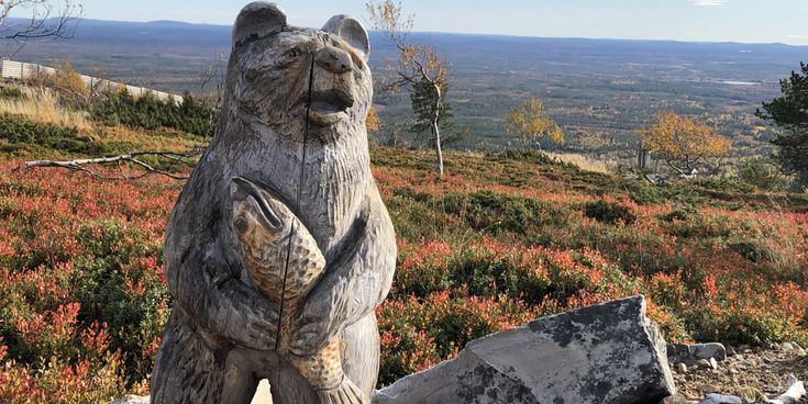 Holzskulptur eines Bären mit einem Fisch in den Armen auf einem Hügel in Finnland, mit buntem Herbstlaub und weitem Landschaftsblick.