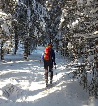 Eine Person wandert mit Skistöcken und einem orangefarbenen Rucksack durch einen sonnigen, verschneiten Winterwald.