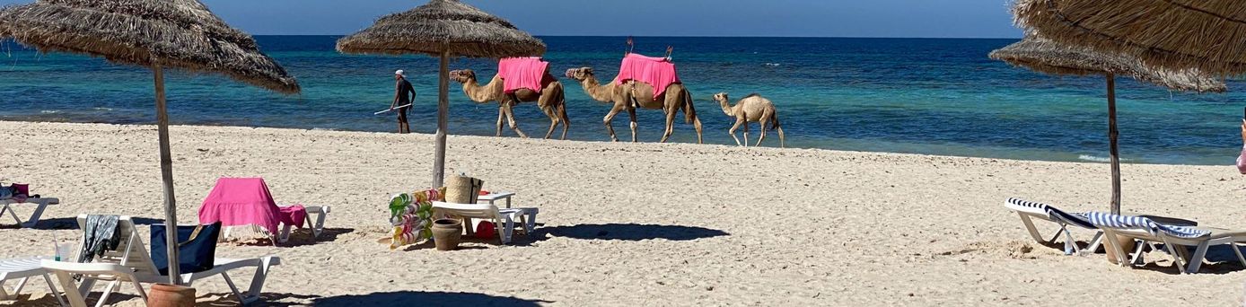 Strand der Insel Djerba in Tunesien