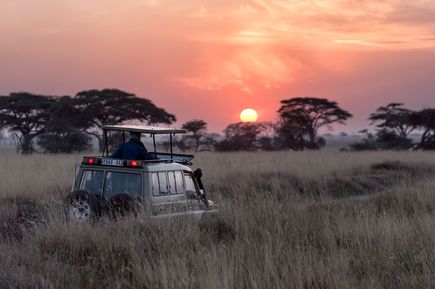 Wilde Tiere im Nationalpark sehen: Tansania Safari per Jeep