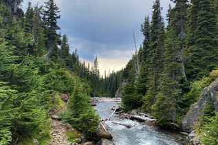 Straße in Vancouver Island