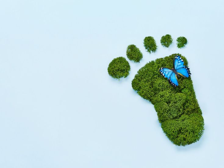 Grüner Fußabdruck aus Moos mit blauem Schmetterling auf hellem Hintergrund – Symbol für Umweltbewusstsein und klimafreundliches Handeln.
