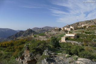 Hang mit Häusern in grüner Natur im Oman