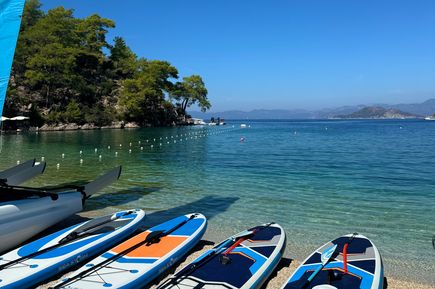 Stand-up-Paddle-Boards am Ufer eines klaren Sees, im Hintergrund bewaldete Insel und blauer Himmel.