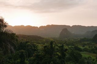 Grüne Natur im Viñales-Tal