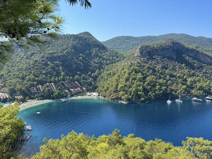 Bucht mit klarem blauem Wasser, umgeben von bewaldeten Hügeln unter blauem Himmel, im Vordergrund grüne Zweige.