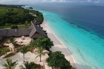 Palmen und Strand der Insel Sansibar