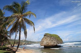 Strand der Karibik Insel St. Lucia