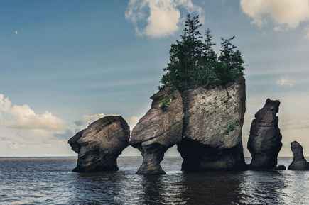Gesteinsformation, die durch gezeitenbedingte Erosion entstanden ist im Nationalpark Hopewell Rocks